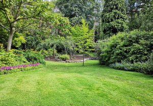Optimiser l'expérience du jardin à Equennes-Eramecourt